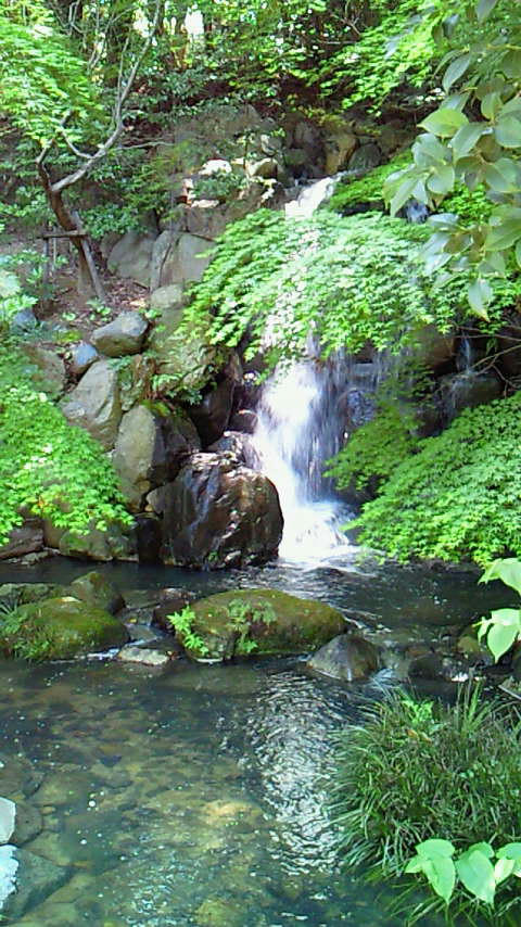 201005021246000.jpg