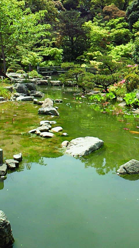 201005021256000.jpg