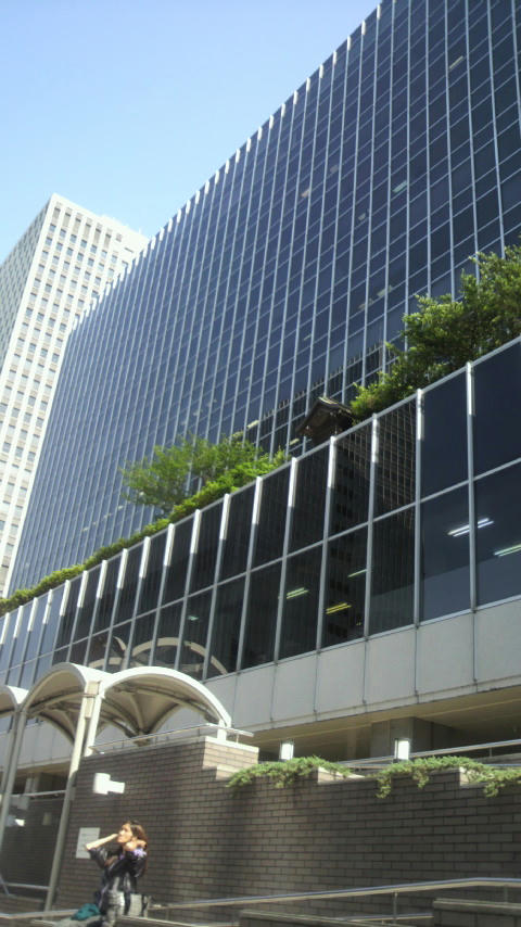 2010060215250000.jpg