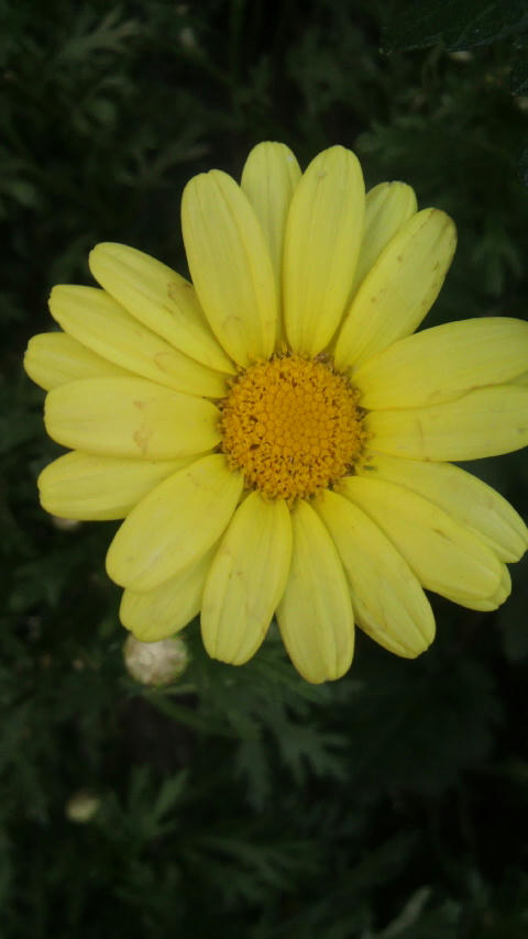 2010060505560001.jpg