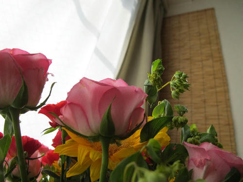 IMG_3302.JPG