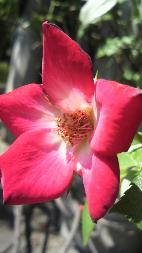 2010072314050000.jpg