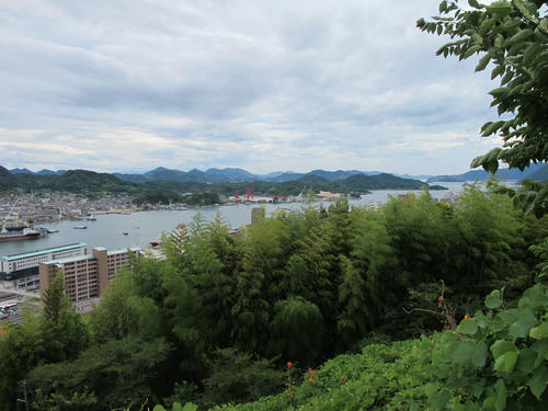 IMG_4233.jpg