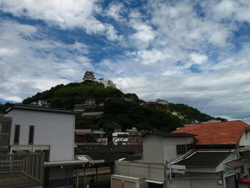 IMG_4294.jpg