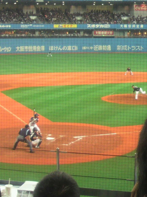 P1010029.jpg