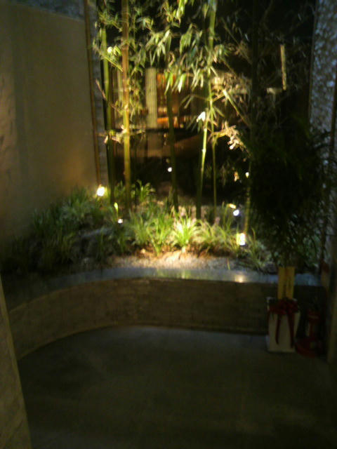 P1010042.jpg