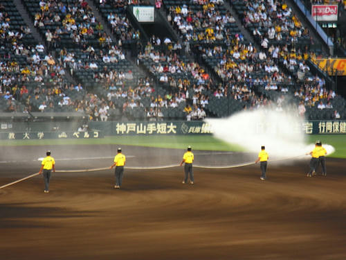 RIMG0115.jpg