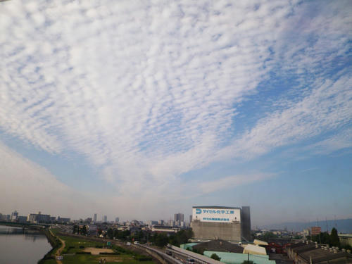 d7180780.JPG
