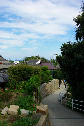 IMGP0355.JPG
