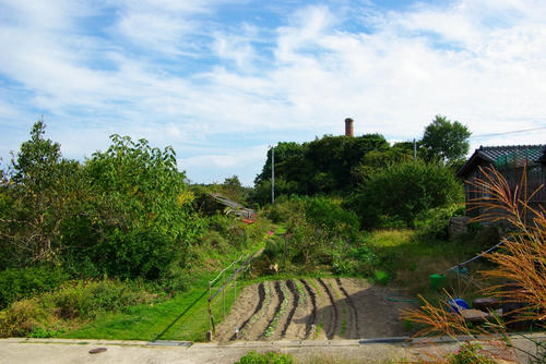 IMGP0382.JPG