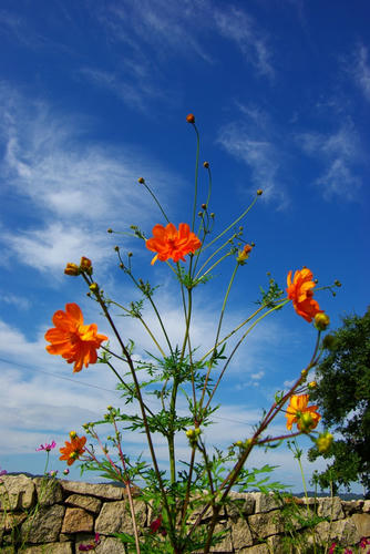 IMGP0330.JPG