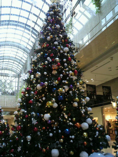 2010111815470002.jpg