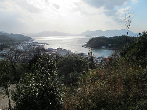 IMG_4963.jpg