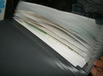 P1010205.JPG