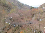 1109641_1111541766_166large.jpg