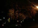57.jpg