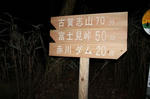 490.jpg