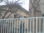 510.jpg