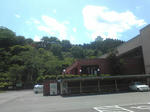 597.jpg