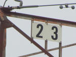 770.jpg