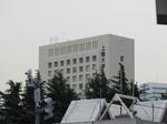 772.jpg
