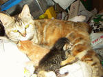 20040401.jpg