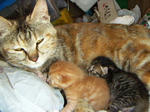 20040402.jpg