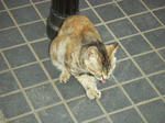 20040403.jpg