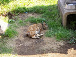 20040404.jpg