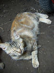 20040605.jpg