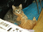 20040606.jpg
