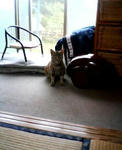 20040701.jpg
