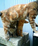 20040903.jpg