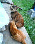 20040906.jpg