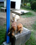 20040907.jpg