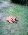 20040908.jpg