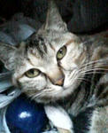 20050302.jpg