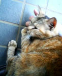 20050601.jpg