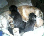 20051002.jpg