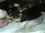 20051003.jpg