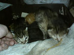 20051004.jpg