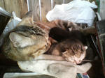 20051005.jpg