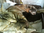 20051006.jpg