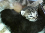 20051007.jpg