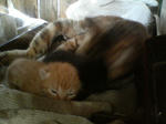 20051009.jpg