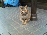 20051010.jpg