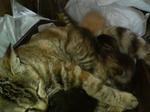20051012.jpg