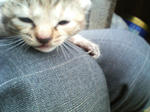 20051013.jpg