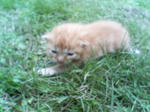 20051014.jpg