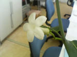 2005081601.jpg